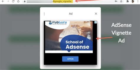 vignette ad|How to Setup Vignette Ads on Destop .